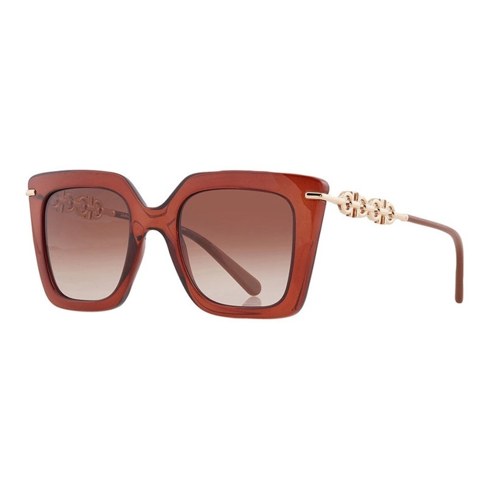 Salvatore Ferragamo Sunglasses SF1041S 232 Transparent Brown/Rose Brown Gradient